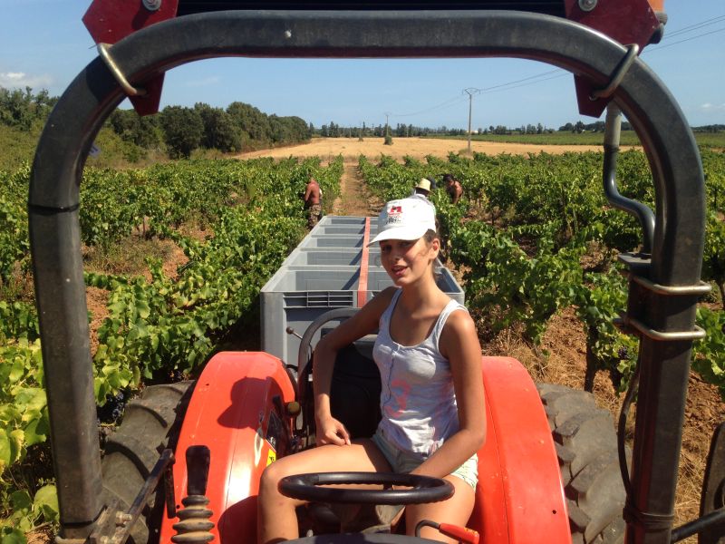 Domaine Vecchio — photo 1