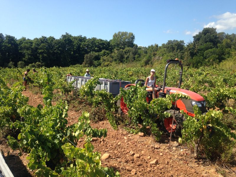 Domaine Vecchio — photo 2