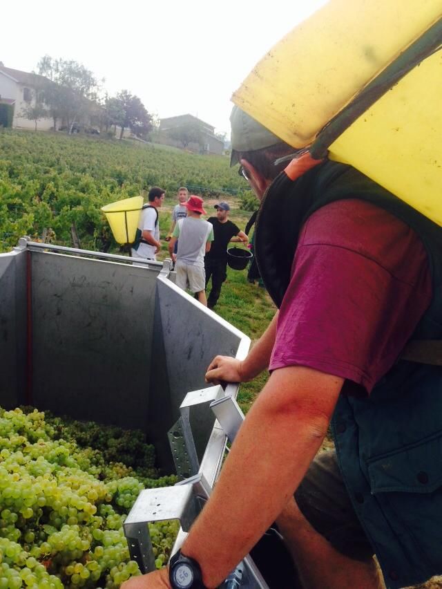 GRANGE ARNAUD EI — photo 2